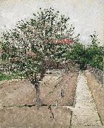 Gustave Caillebotte Apple Tree in Bloom painting